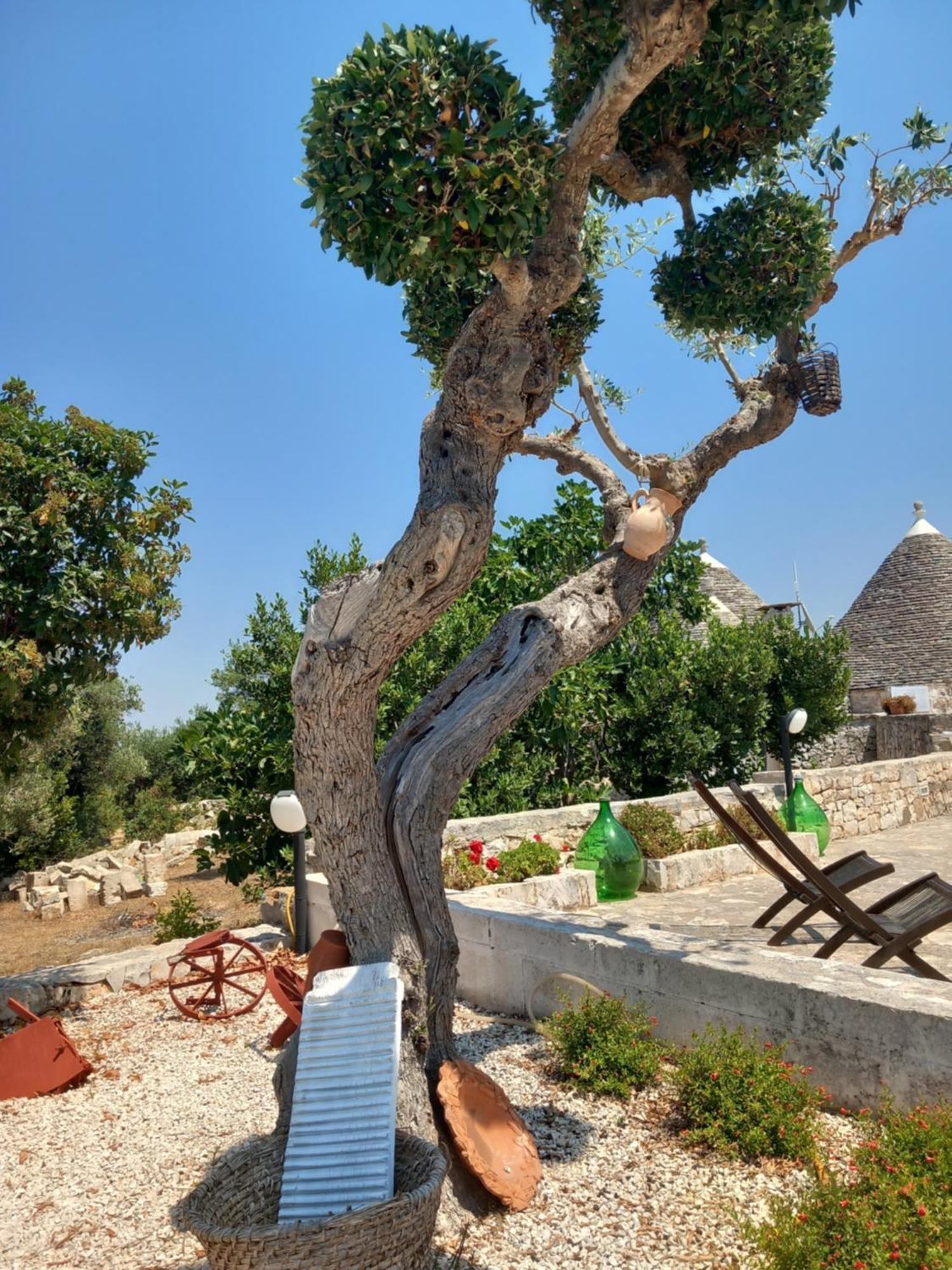 Trullo Monte Del Sale Vendégház Alberobello Kültér fotó