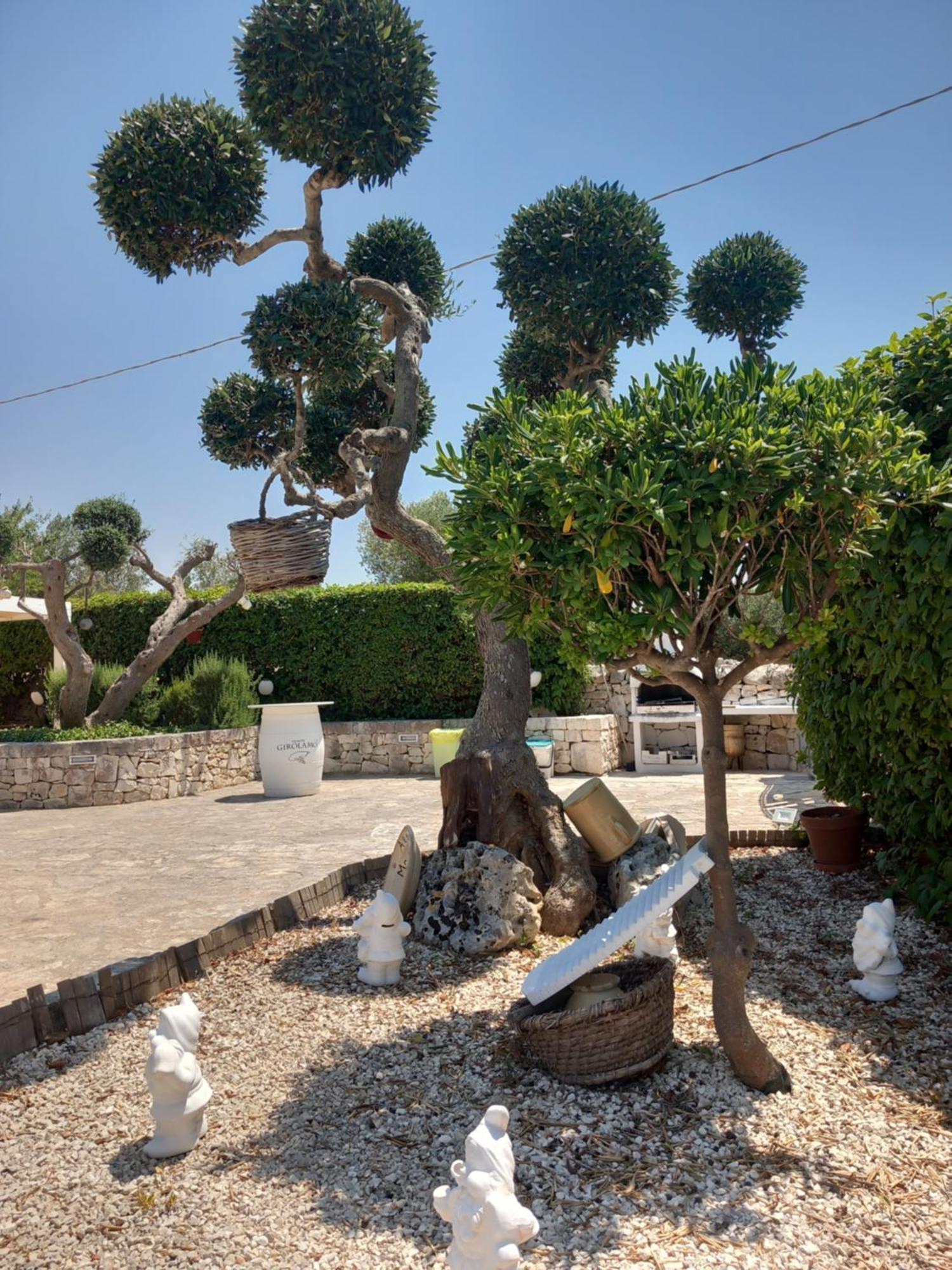 Trullo Monte Del Sale Vendégház Alberobello Kültér fotó