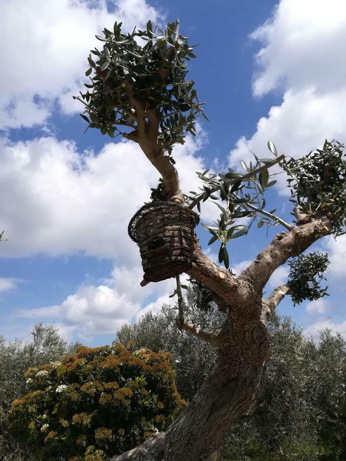 Trullo Monte Del Sale Vendégház Alberobello Kültér fotó